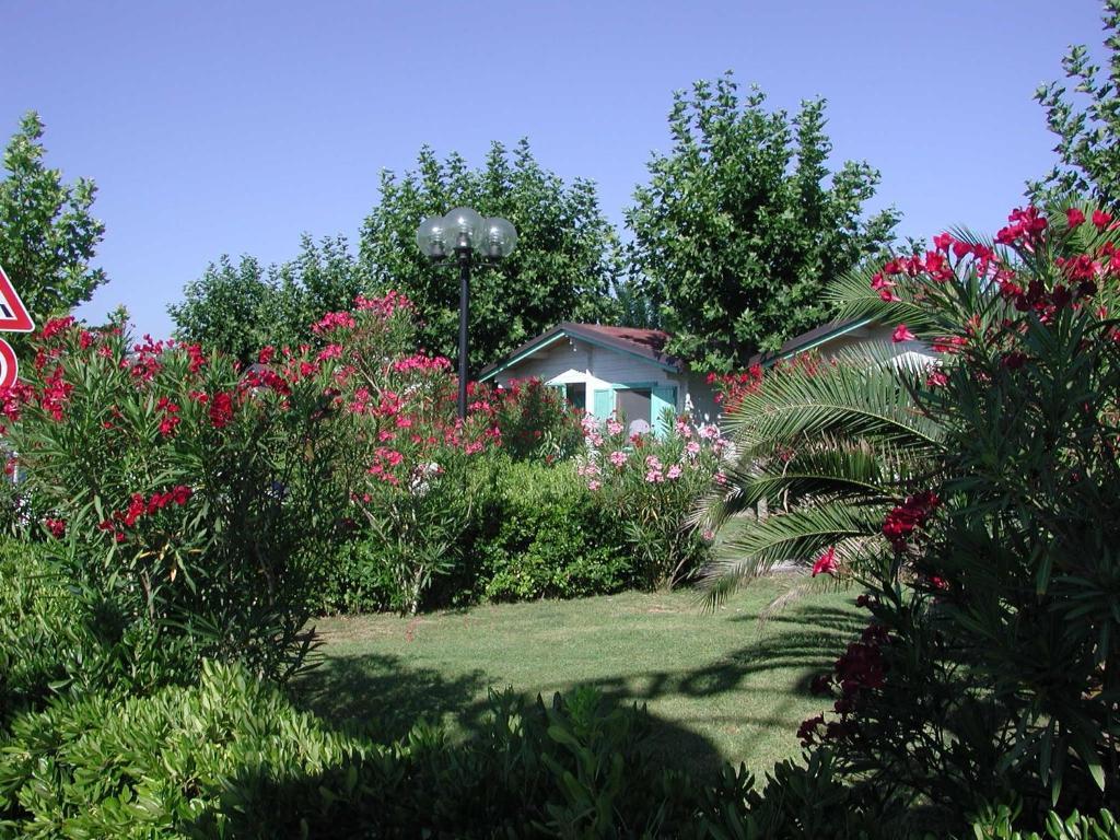 Villaggio Centro Vacanze De Angelis Numana Room photo
